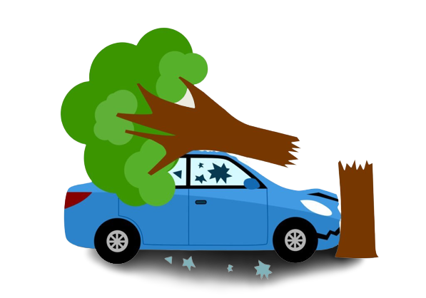 Car crash accident in tree flat vector image