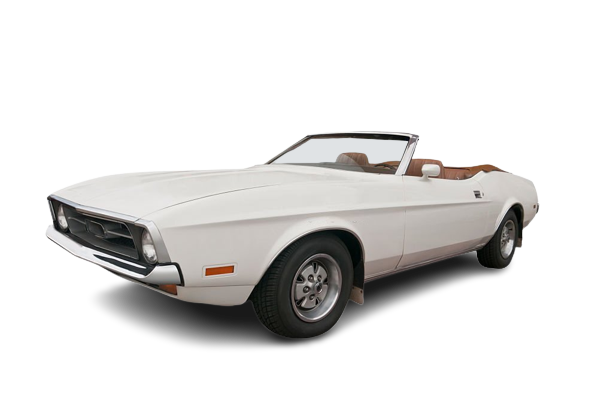 Ford Mustang Mach 1 vector image
